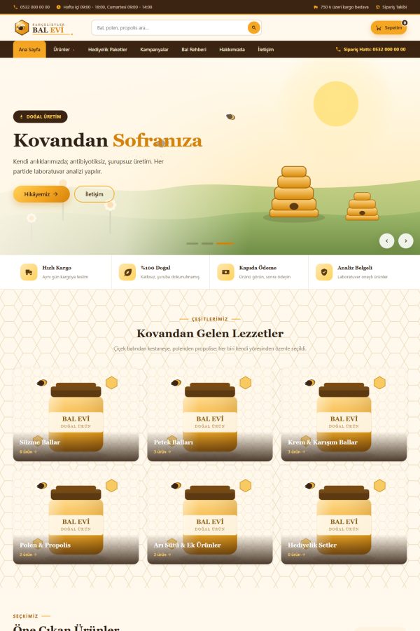 E-ticaret sitesi V5 ekran görüntüsü